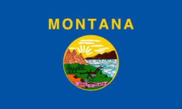 Fahne: US-Montana
