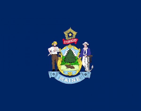 Fahne: US-Maine